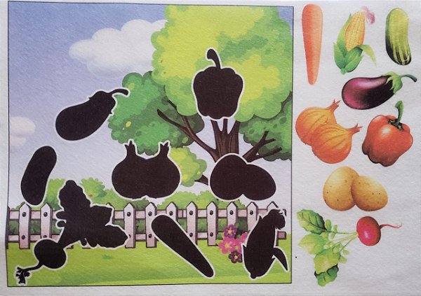 Livro - Sombras - Legumes