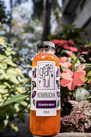 KOMBUCHA CHÁ PRETO E AMORA