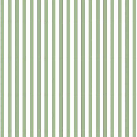 Tecido Tricoline Listrado Peri Verde Menta, 50cm x 1,50mt