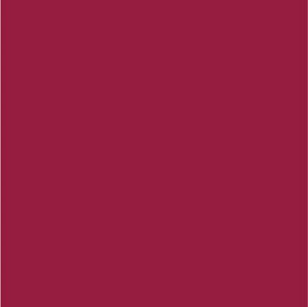 Feltro Liso Cor 03-Vermelho 180gr 50cm X 1,40mt