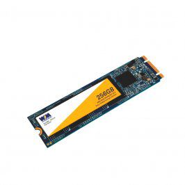 SSD Win Memory M.2 2280 256GB, SATA III, Leitura 560MB/s, Gravação 540MB/s