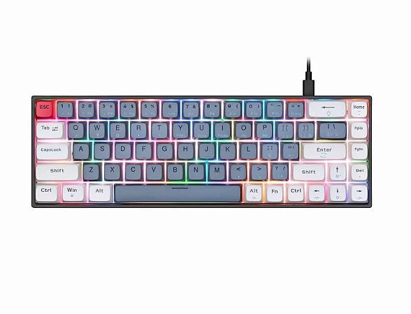 Teclado Gamer Mecânico Revenger Blacklion TE-BKL003, Switch Red, RGB Azul/Branco