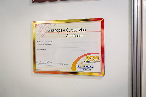 Kit 10 Molduras para Certificado A4 (29,7x21cm) Acrílico Espelhado Dourado