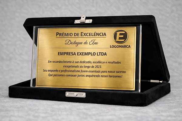 Placa de homenagem - Acrílico e aço escovado - 10x15cm