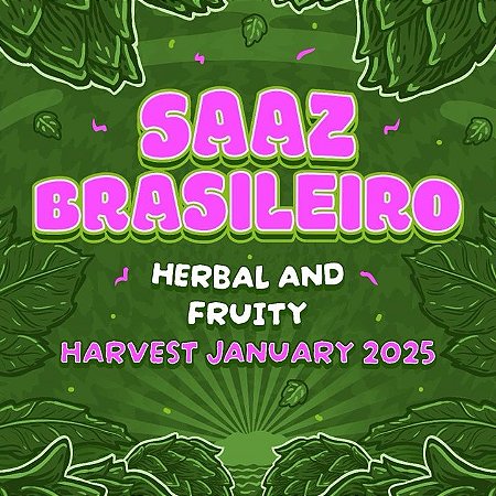 Lúpulo Saaz Brasileiro Start Hops pct 50g