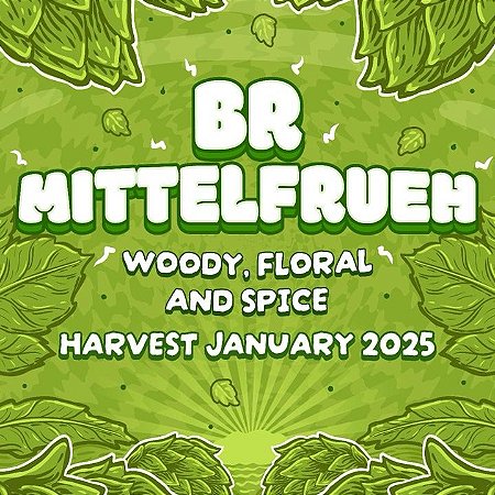 Lúpulo BR Hallertau Mittelfrueh Start Hops pct 50g