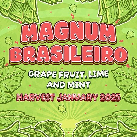 Lúpulo Magnum Brasileiro Start Hops pct 50g