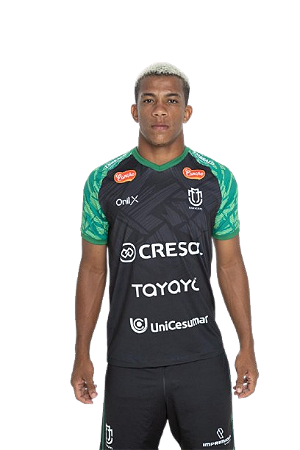 CAMISA OFICIAL 2025 TREINO MASCULINA