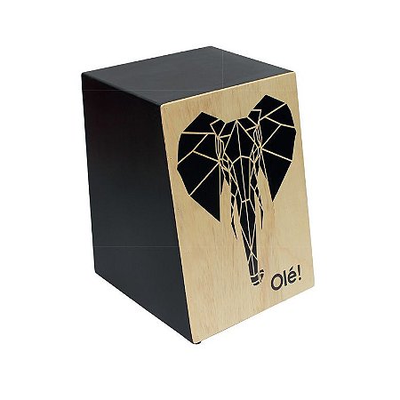 CAJON OLE ACUSTICO 120