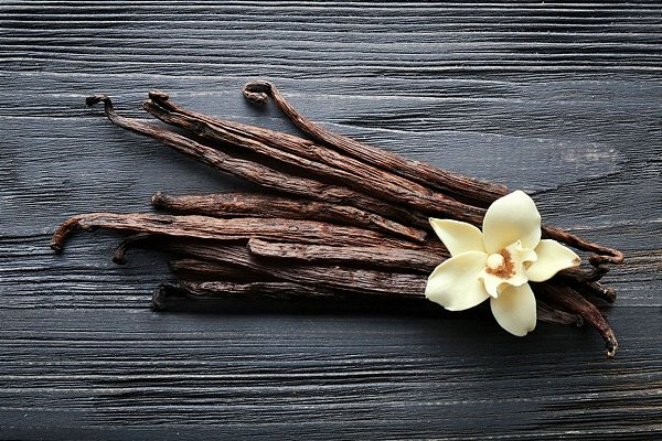 ESSÊNCIA  VANILLA 100ML