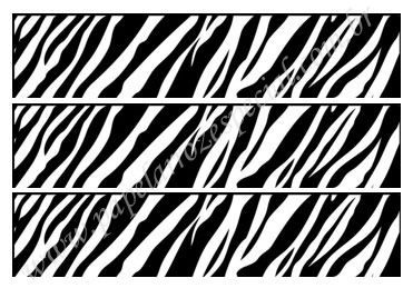 ZEBRA FAIXA LATERAL 001 A4 (6X27,7)