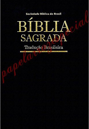 BIBLIA SAGRADA 011 + FAIXA LATERAL 9 CM