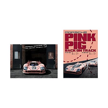 Conjunto de pôsteres 917 "Pink Pig"