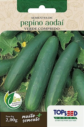 70 Sementes de Pepino Aodai Verde Comprido - 2G
