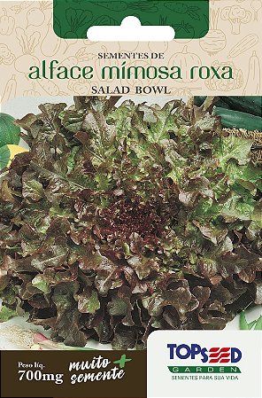 560 Sementes de Alface Mímosa Roxa Salad Bowl - 700mg