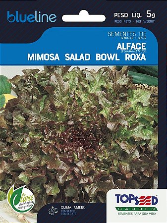 Semente de Alface Mimosa Salad Bowl Roxa 10g