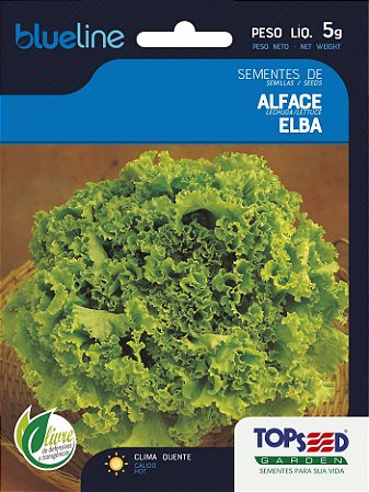 Semente de Alface Elba - Envelope 5g
