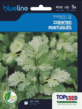 Semente de Coentro Português - Envelope 5g