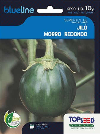Semente de Jiló Morro Redondo - Envelope 10g