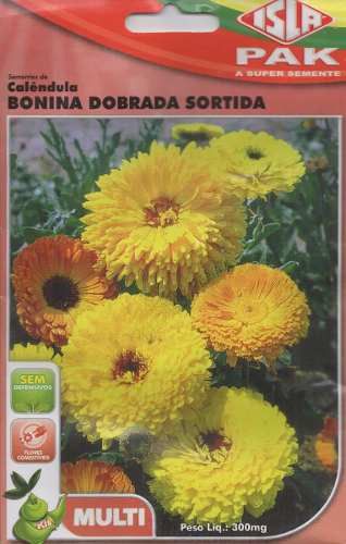 Semente de Flor Calêndula / Bonina Dobrada Sortida - Envelope 0,9g