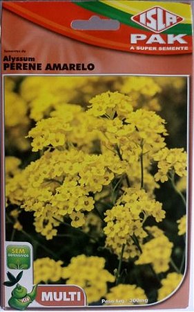 Semente de Flor Alyssum Perene Amarelo - Envelope 300mmg