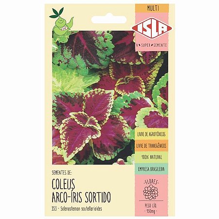 Semente de Flor Coleus Arco Íris Sortido - Envelope 150mmg