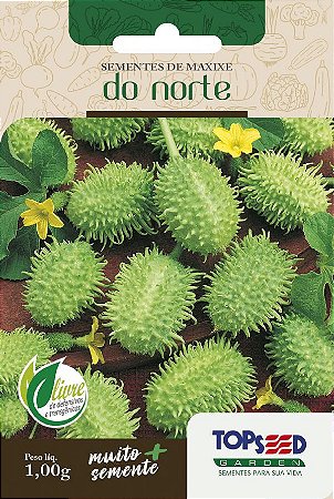 Semente de Maxixe do Norte - Envelope 1,00g