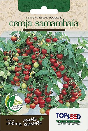 Semente de Tomate Cereja Samambaia - Envelope 400mg