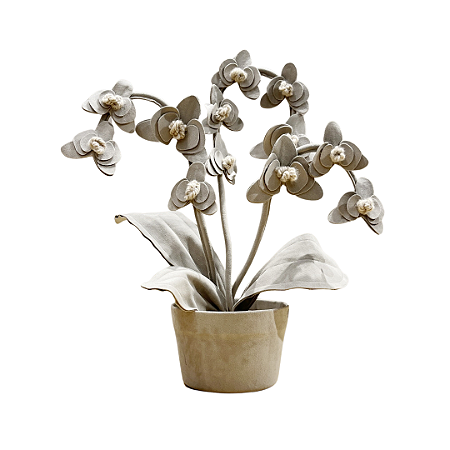 Orquídea P