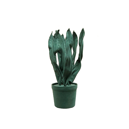 Espada de São Jorge P