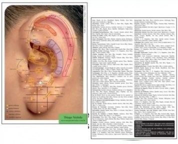 Mapa Auricular Prof. Thiago Nishida - Auriculoterapia