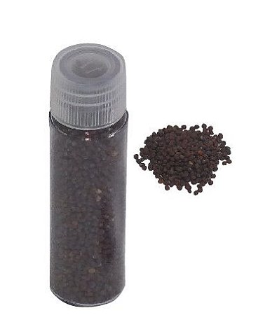 Semente de Vacaria 8 Gr - Auriculoterapia