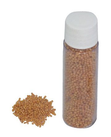 Semente de Mostarda 8 Gr - Auriculoterapia