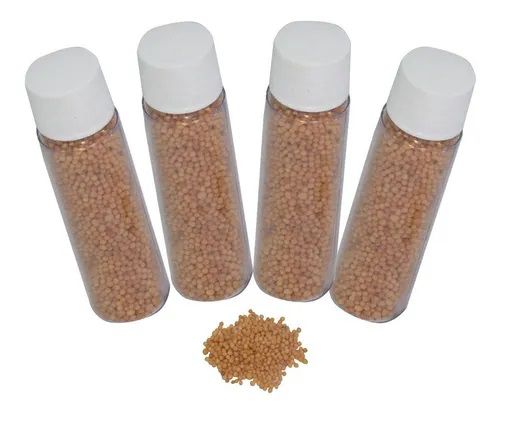 Kit com 4 tubos de semente de mostarda