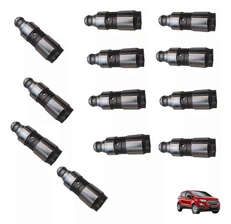 Jogo de Tucho Do Motor Ford Ecosport 1.5 Dragon Original