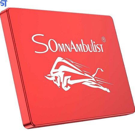 HD SSD 120gb 500Mb/s Para Leitura 390Mb/s Para Gravação Somnambulist- Vermelho