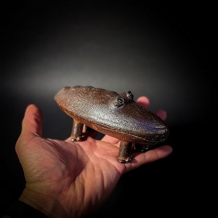 BICHO: JACARÉ RÚSTICO