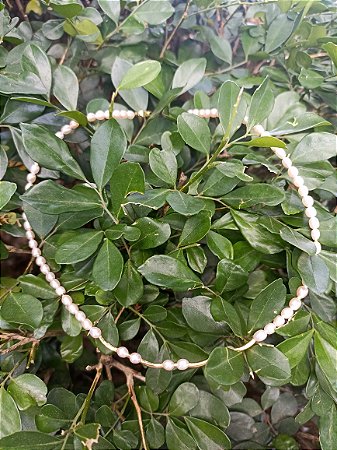 Chocker pérola