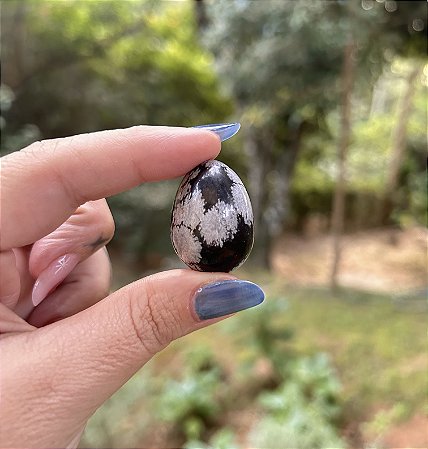 Ovo de Obsidiana flocos de neve