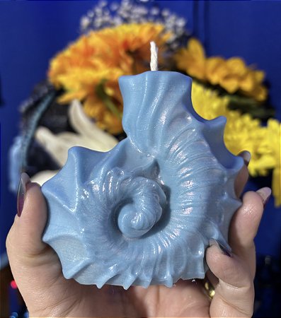 Vela de Concha - Especial