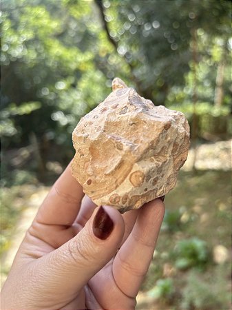 Leopardita Bruta Grande