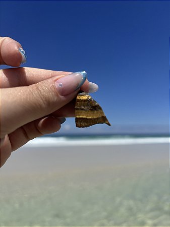 Pingente Olho de Tigre (Bruto)