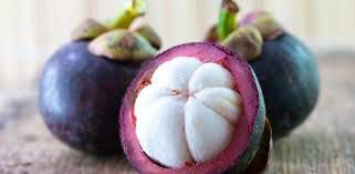 Muda de Mangostim Roxo enxertado - fruta da rainha (Garcinia mangostana)