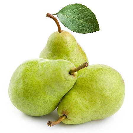 Muda Frutifera Pera Dagua Enxertada, Logo produz