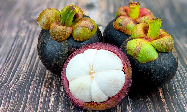 Mudas De Mangostin / Mangotão Roxo Verdadeiro (Fruto Da Rainha)