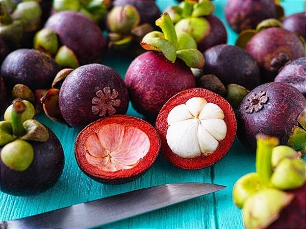 Muda De Mangostin Roxo Produzindo (Mudas Velhas) Garcinia mangostana