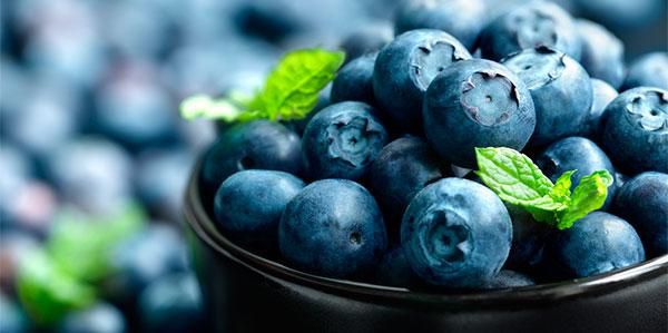 Muda De Mirtilo  (Blueberry) Produzindo excelente antioxidante