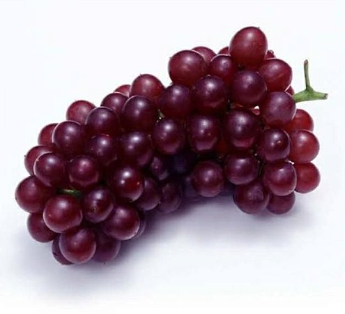 UVA RUBI KG