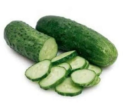 PEPINO SALADA - 500 GRAMAS