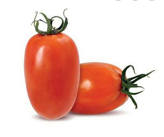 TOMATE RASTEIRO - 500 GRAMAS